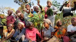 Un groupe de femmes agricultrices dans un pays africain.