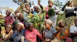 非洲某国的女农民。