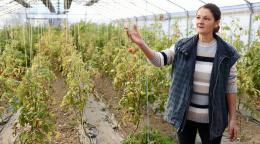 A Bosnian woman farmer in her field.