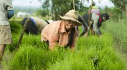 A woman in a field in the Philippines.
