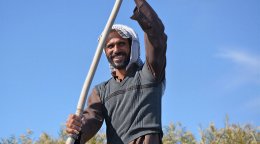 A farmer in Iraq.