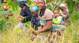 A woman in Guinea in a field with other women as she carries her son.