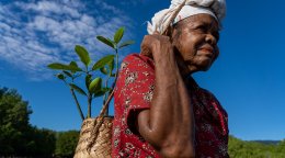 A farmer in Timor-Leste.