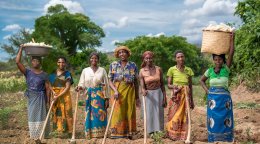 Women in Malawi happily stand in a field.