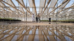 A greenhouse in Saudi Arabia.