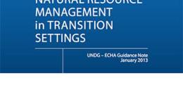 Portada del documento con fondo azul y blanco, y el logo de las Naciones Unidas.