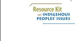 Portada del documento con fondo blanco y cintillos decorativos en azul y marrón, más el logo de la ONU.