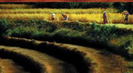 Portada del documento con una foto de unas campos.