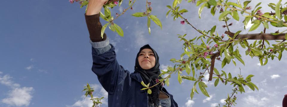 A young lady is pictured from below as she extends her arm proudly to reach for a tree branch.