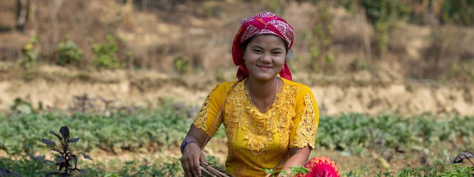 A woman sits with a basket in a green farm field. 