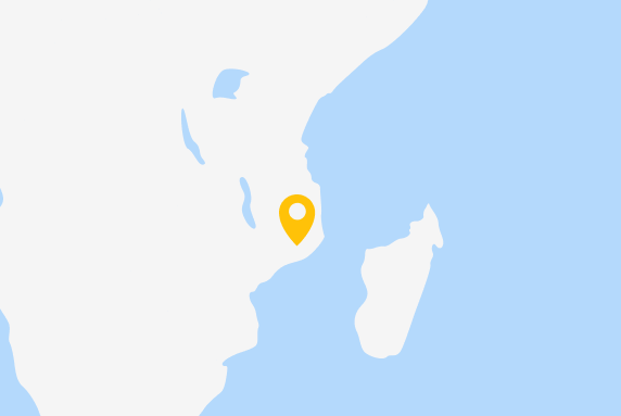 Responses - Map Mozambique- 2022 e-report