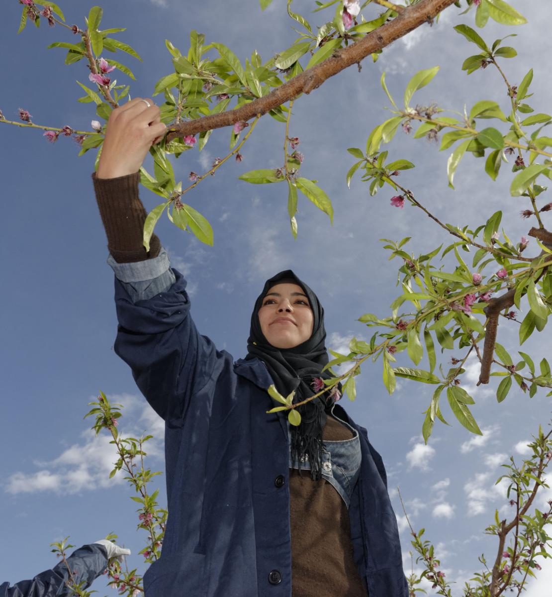 A young woman smiles as she grabs a branch of a tree