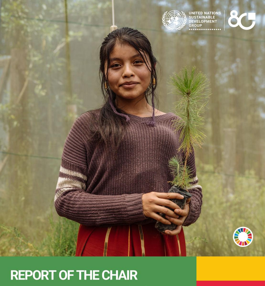 A picture of a girl with a plant and a title of the 2025 UNSDG Chair Report