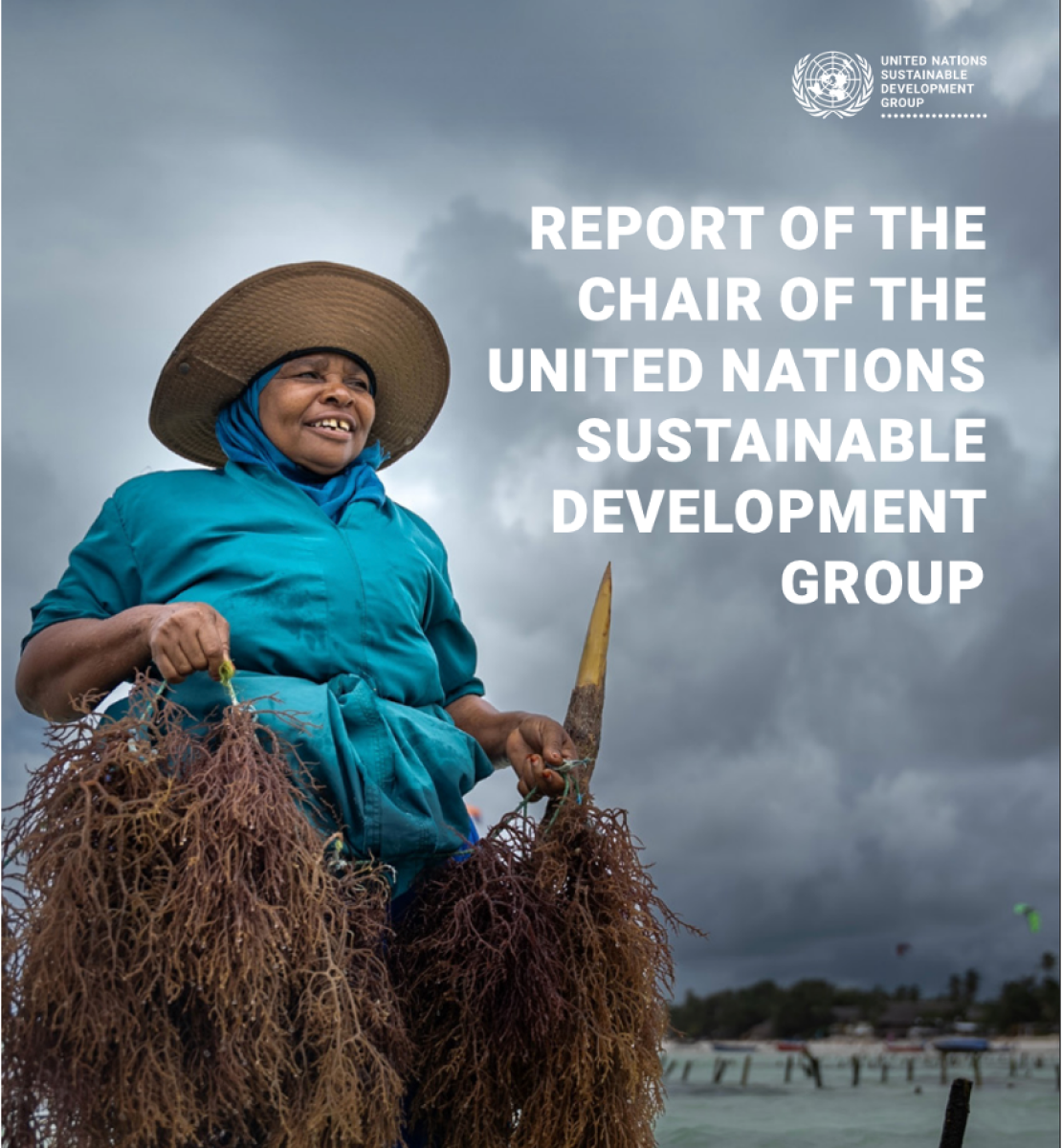 Cover of the 2026 UNSDG Chair Report