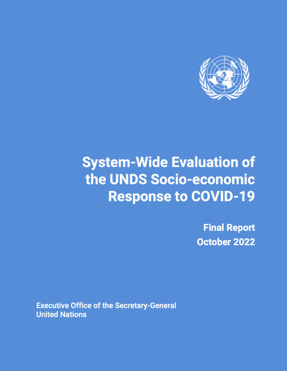 Publication cover in UN blue with the Organization's logo in white in the top right corner 
