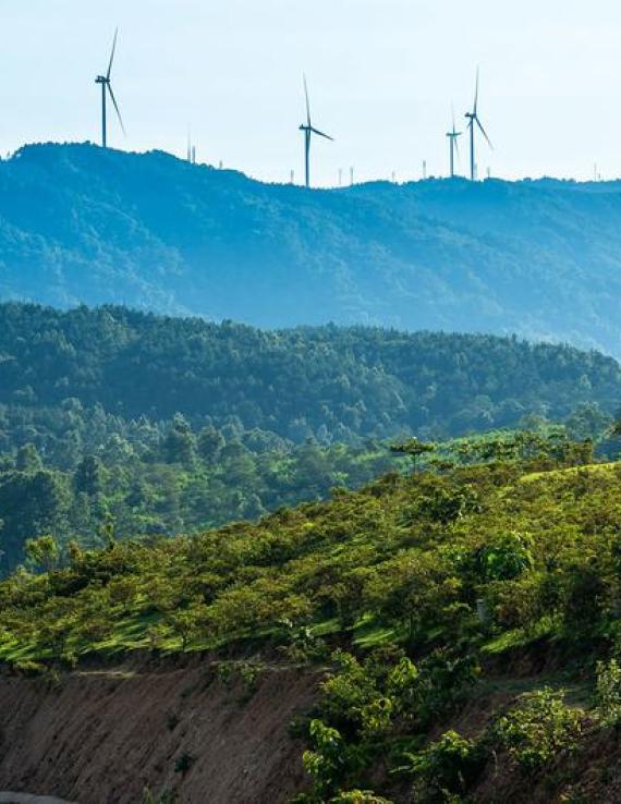 Ветряные электростанции во Вьетнаме.