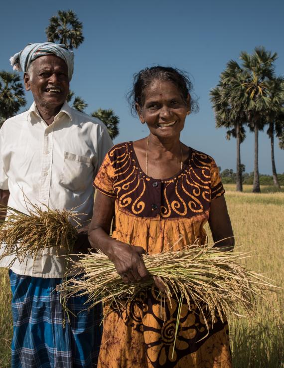 A man and woman stand in a field against a bright blue sky and hold crops that look like wheat. 