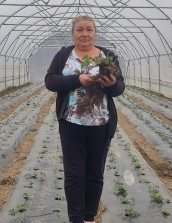 Женщина с саженцами в руках стоит в теплице на фоне грядок