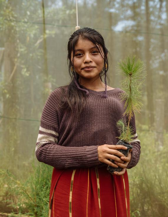 A young girl in a brown shirt and red skirt holds up a plant