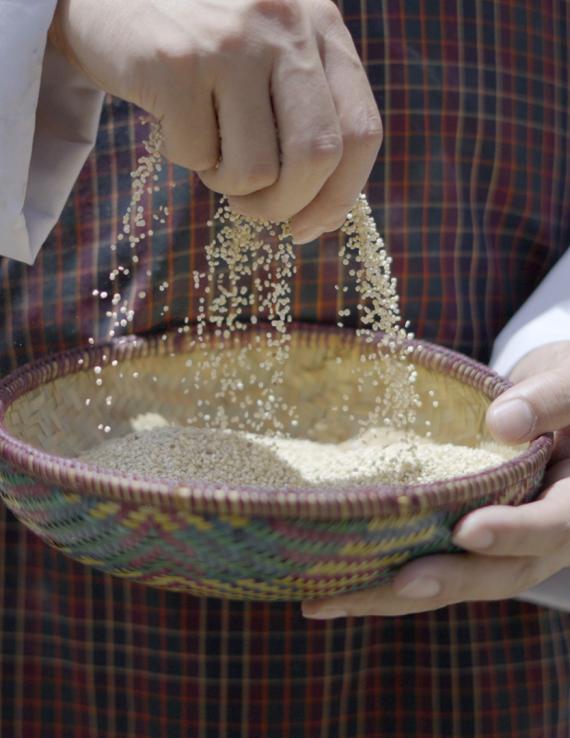 Женщина держит миску с квиноа.