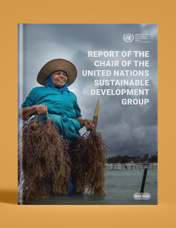 A graphical mock-up of the UNSDG Chair Report in 2026.