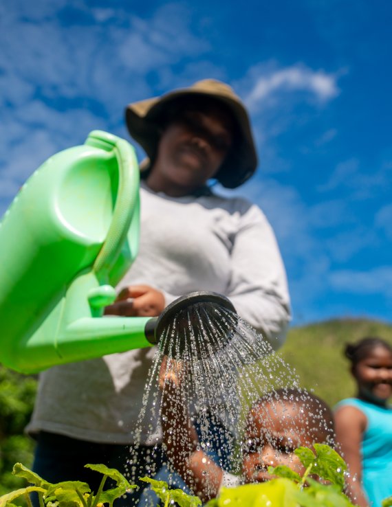 A woman in Jamaica waters her garden.