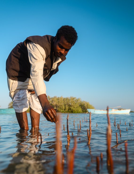 A farmer in Egypt.