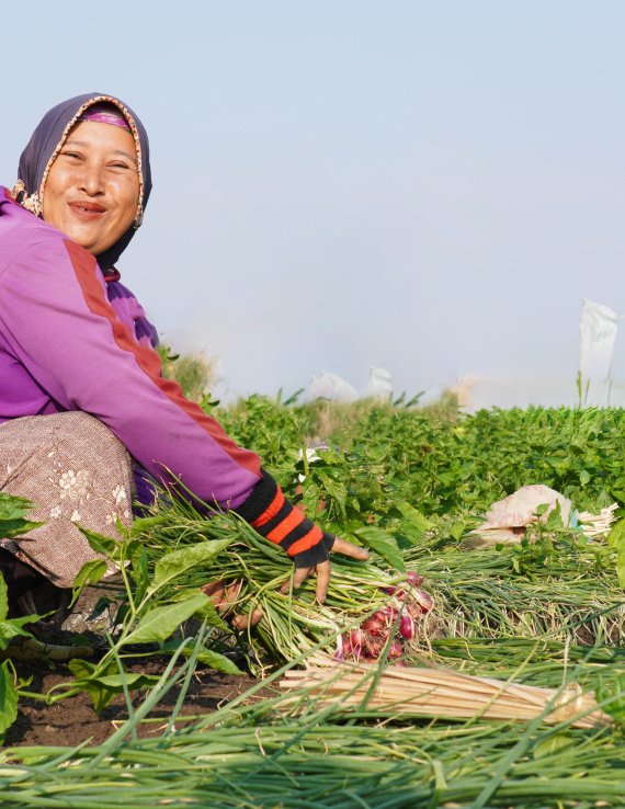 A farmer in Indonesia works in her field.