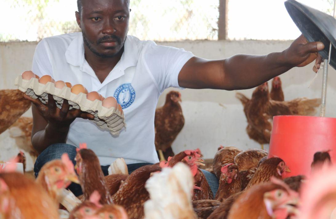 Tamby se muestra rodeado de gallinas sosteniendo alrededor de una docena de huevos con su mano derecha y una tapa con la otra.