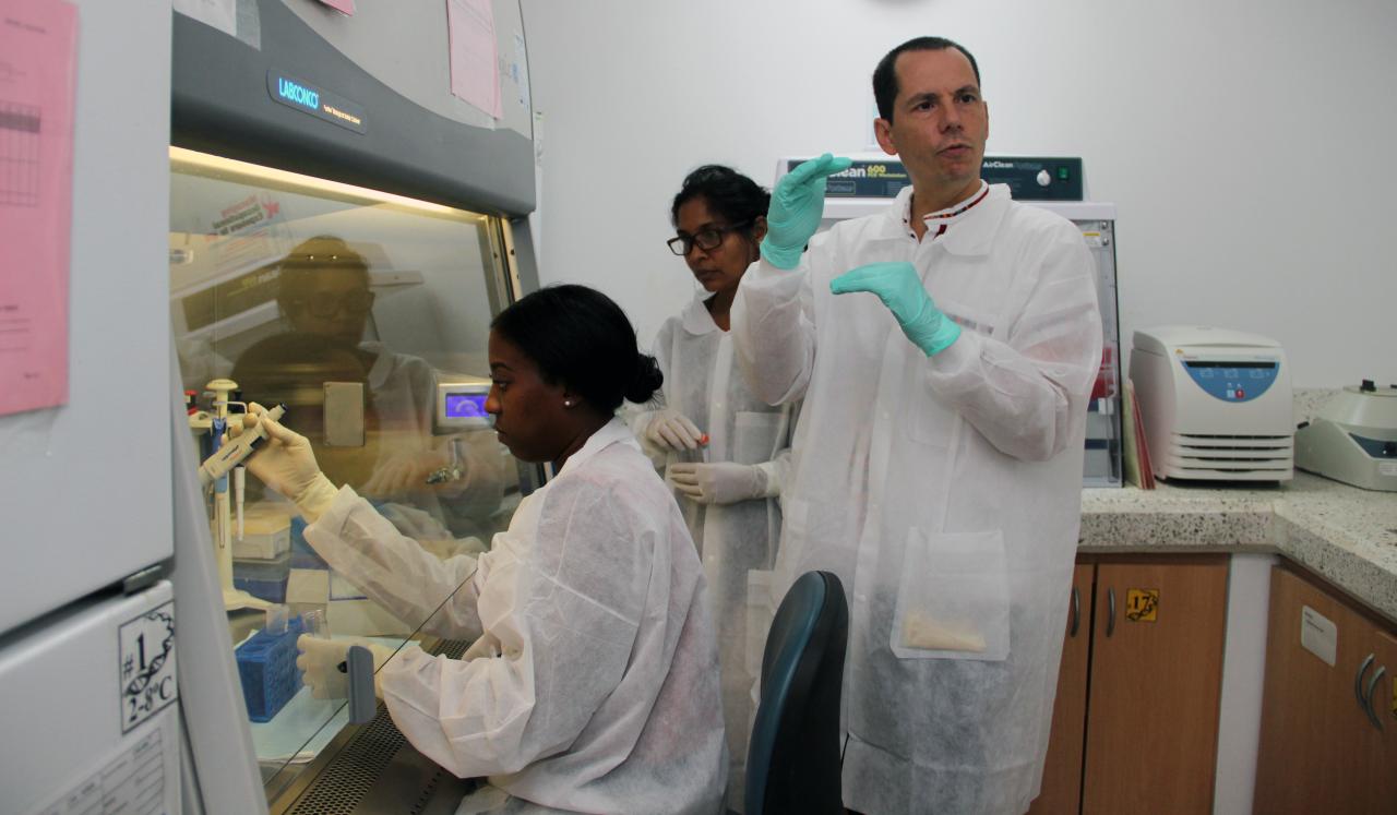 Formación por parte del especialista de laboratorio de la OPS/OMS para realizar las pruebas de COVID-19.