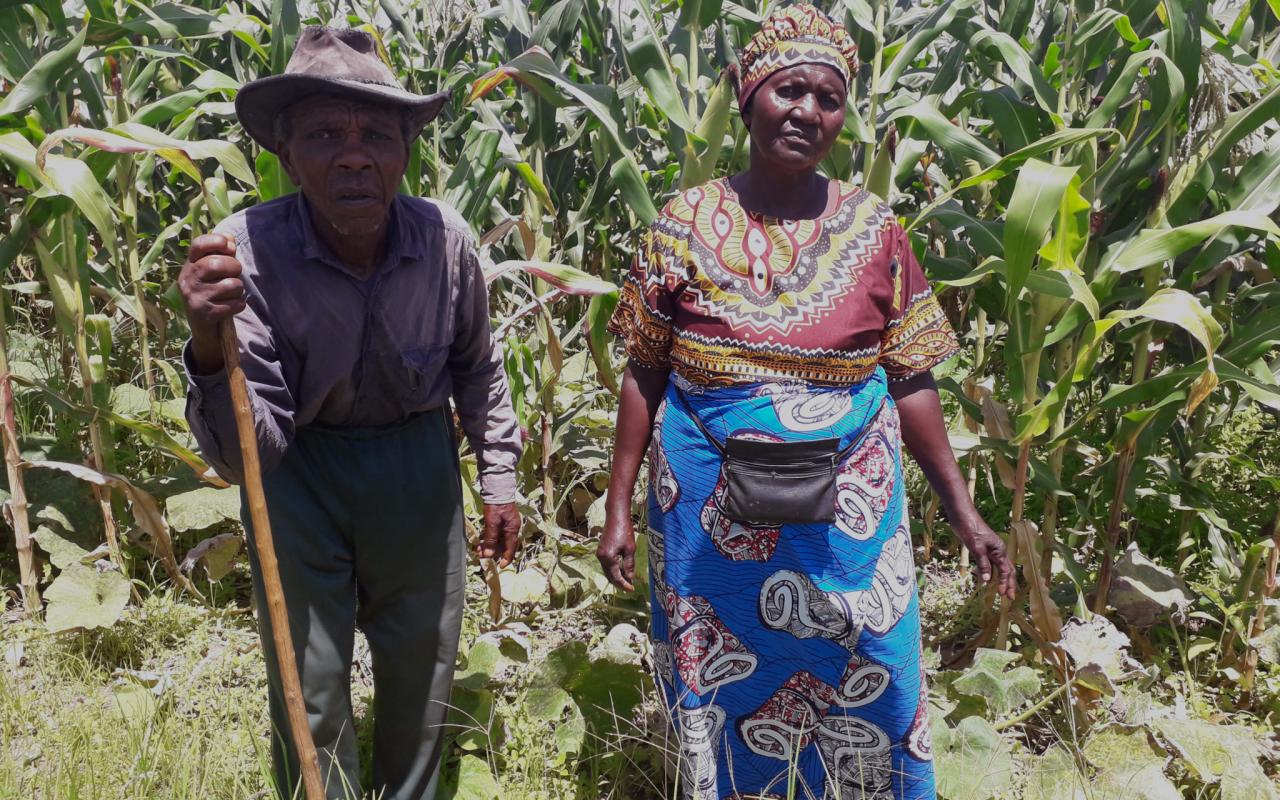 Local farmers, Dingane and Nancy Sithole stand proudly near a field of crops.
