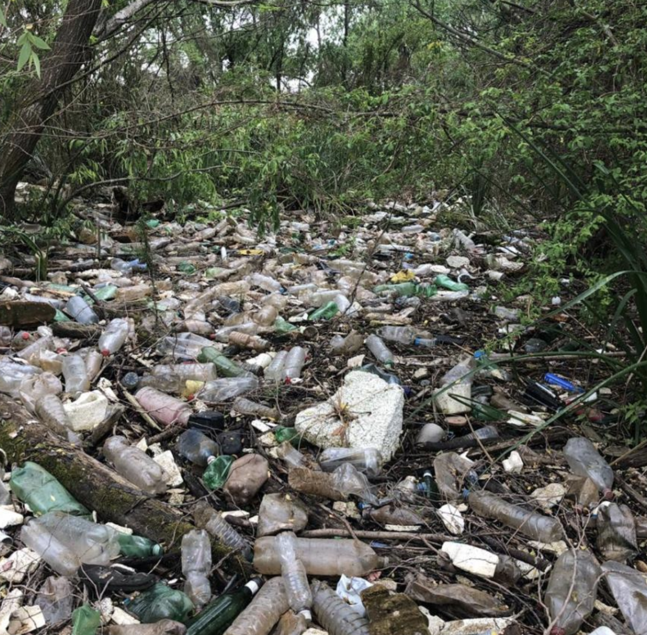 Una jungla con cientos de pedazos de desechos esparcidos por el suelo.