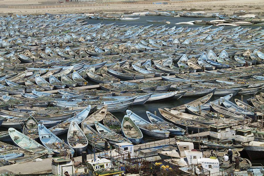 Hundreds of empty boats sit closely together.  