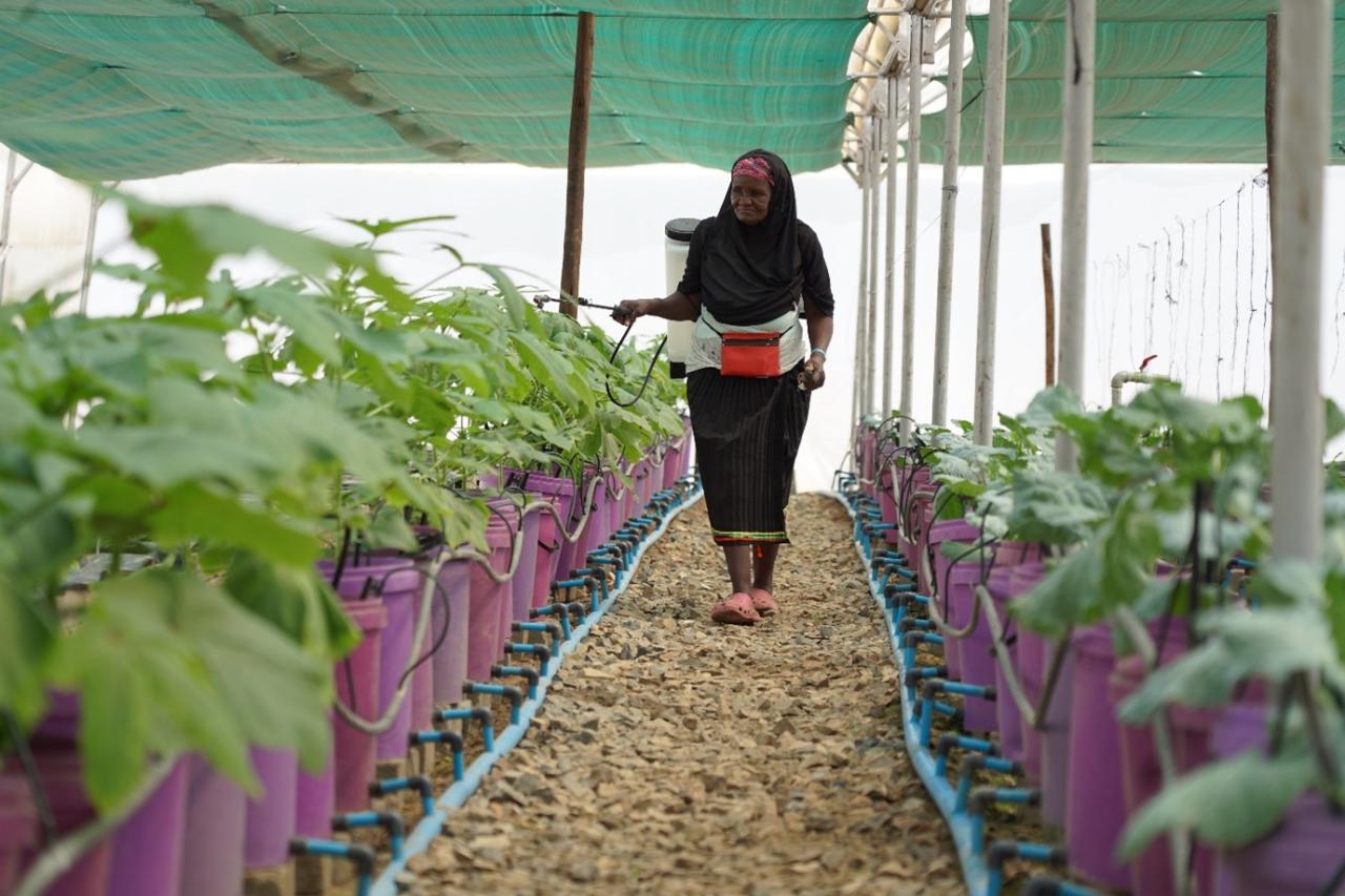 A woman in a black dress and head covering walks in a greenhouse adorned with green plants.