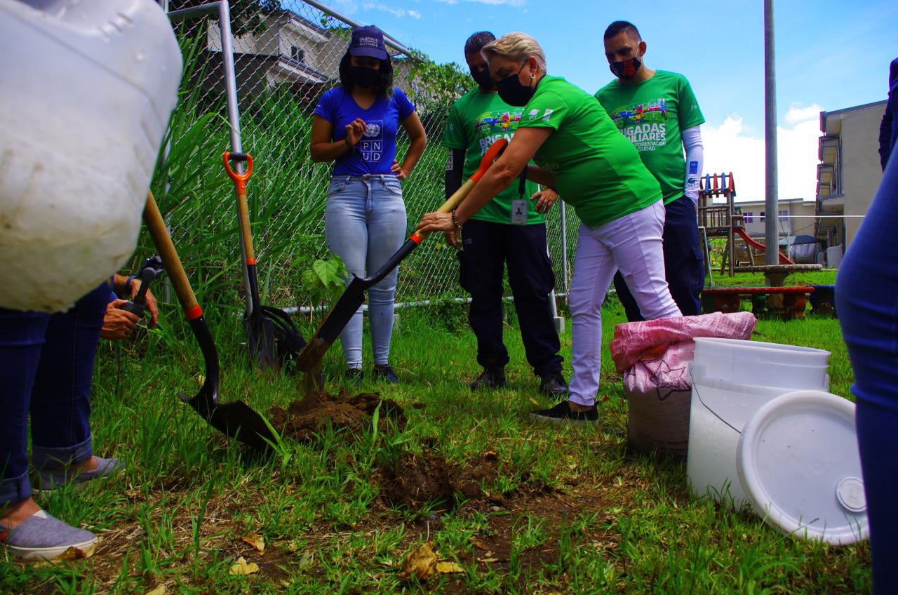 Un grupo de mujeres trabajando en un terreno verde con herramientas de jardinería.