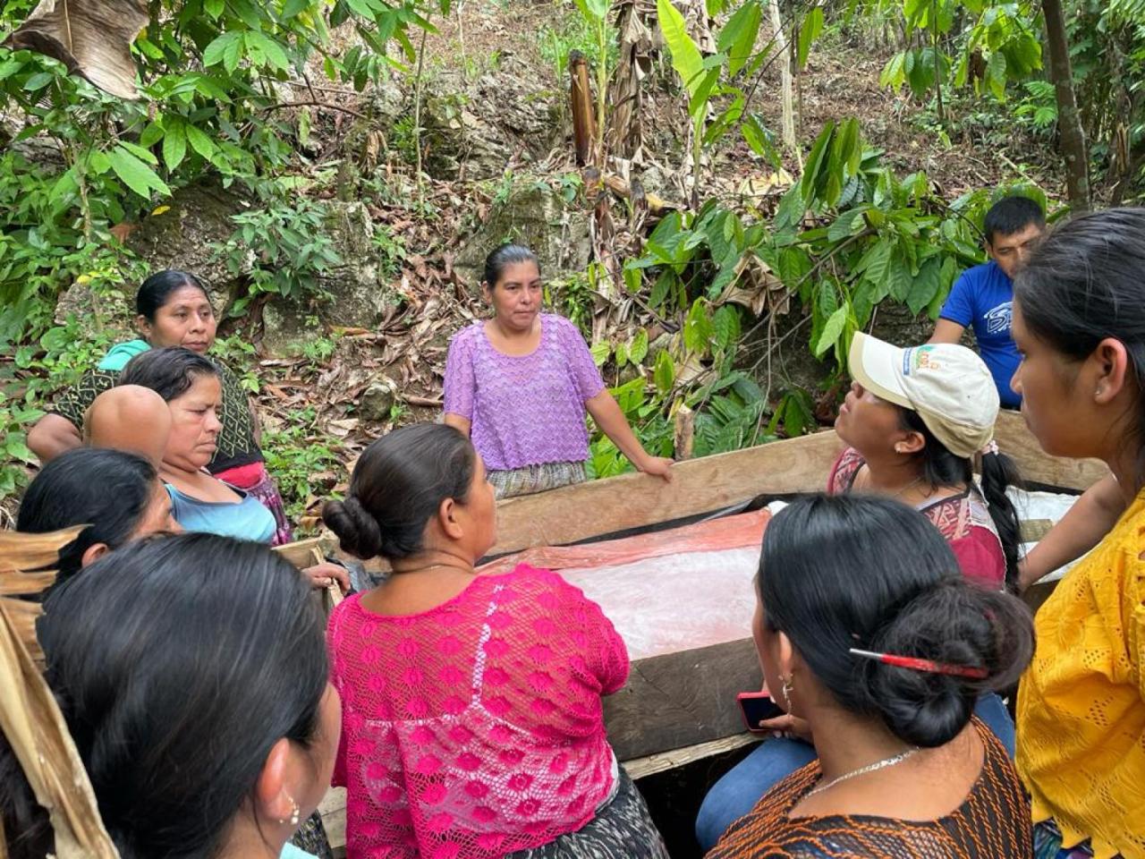 A group of women pay attention to the woman who has the floor during a community meeting in a green area.