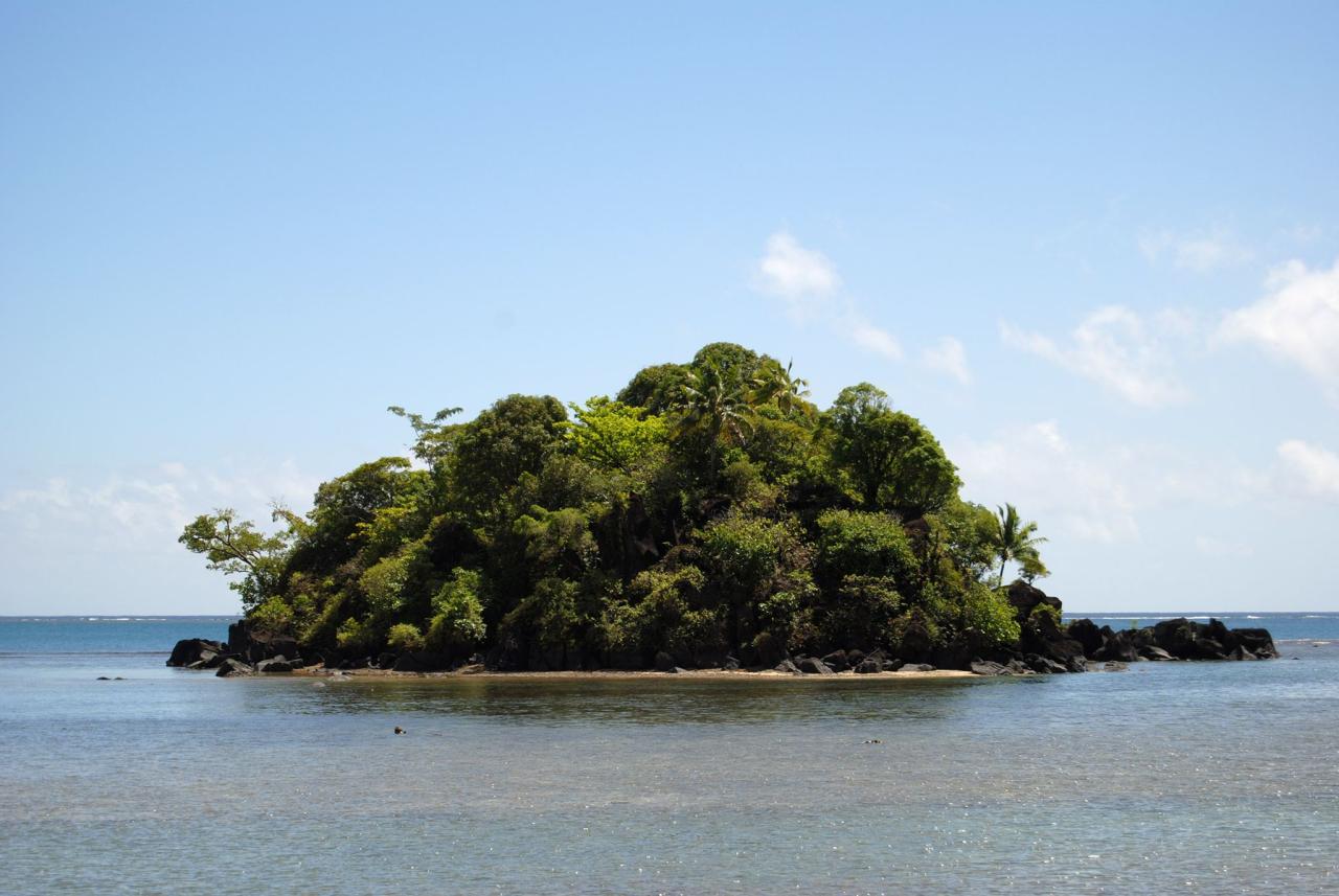 A close-up of a tiny island and light blue water around it.
