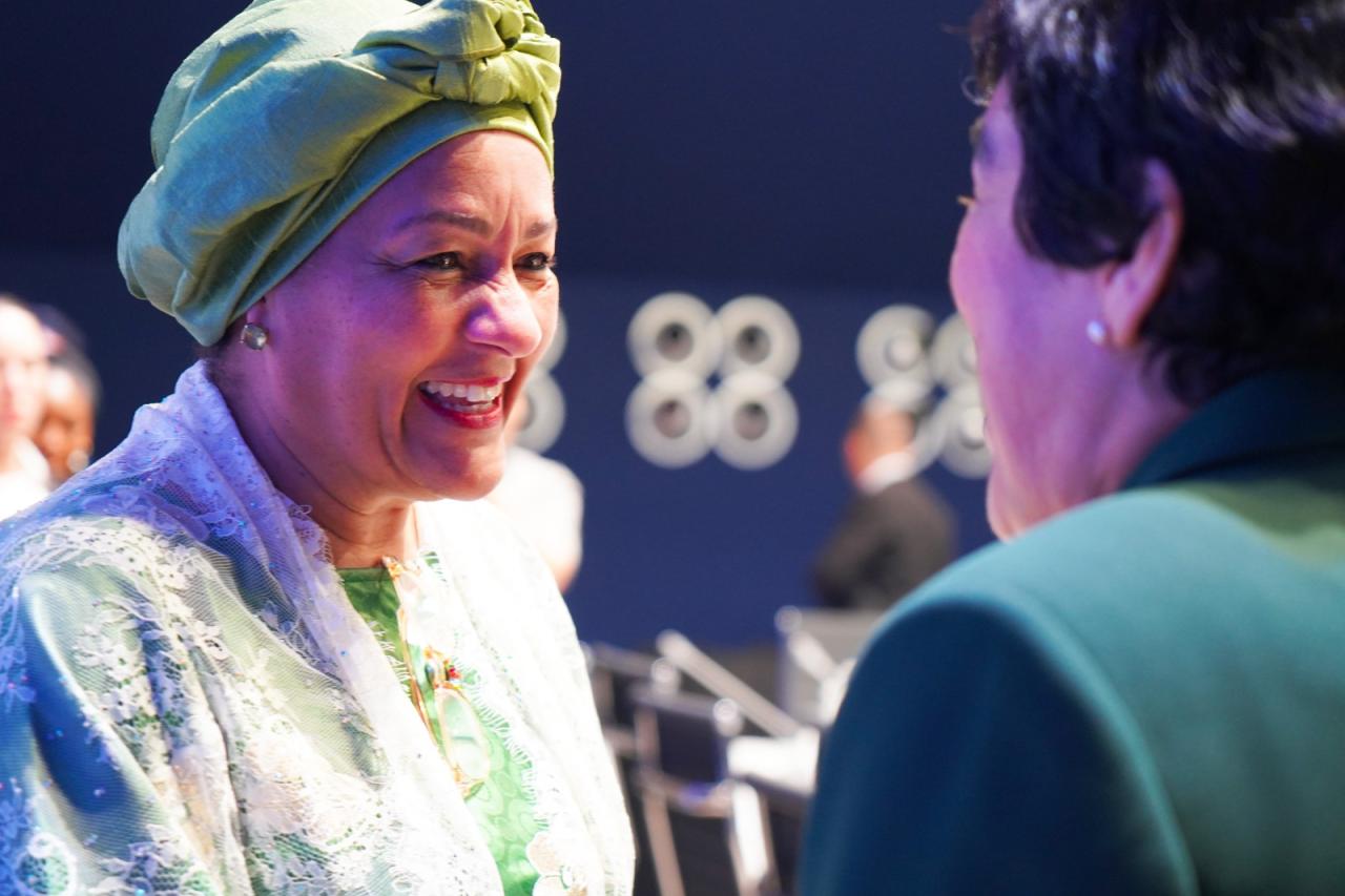 A UN official, the deputy head of the UN, speaks to a member of a partner organization, and smiles brightly.
