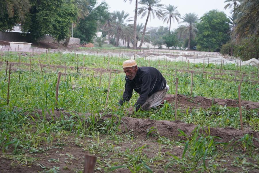  عنوان الصورة: Abdullah bin Khamis at the farm. صورة: © UNIC Manama