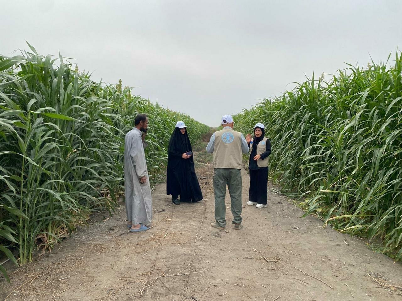 Iraq's heavy reliance on oil has resulted in high carbon footprint, making it extremely vulnerable to specific climate-related disasters, such as droughts, desertification, and sandstorms. 