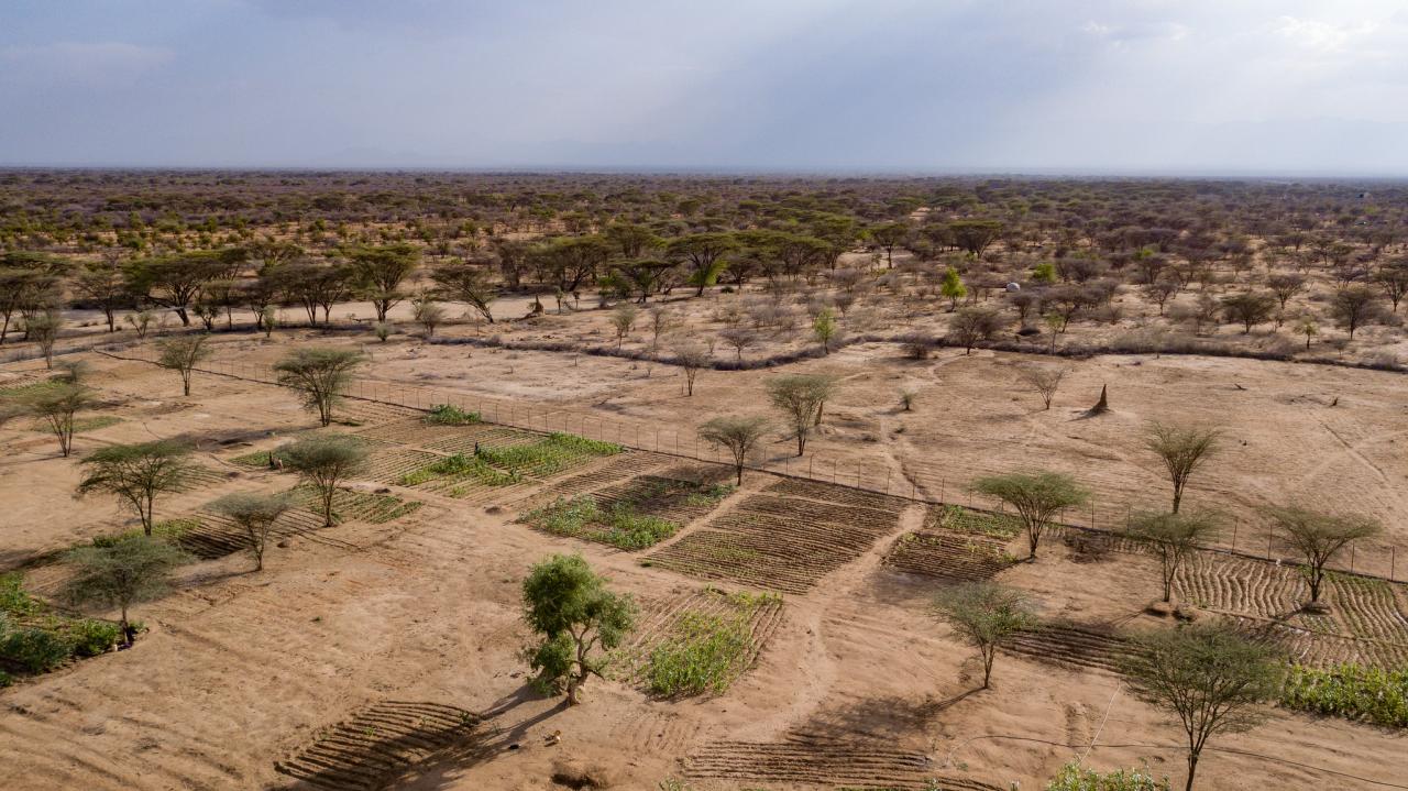 Farms surrounded by arid lands in Kangirega Village, Turkana County, Kenya 