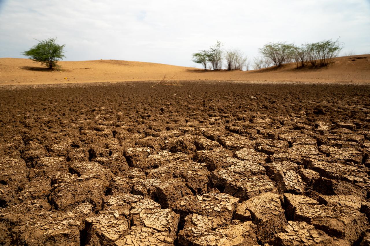  A dried out water pan in Kapetadie, Turkana County on 24th March 2022. The ongoing drought has put pressure on the scarce water resources in Turkana.