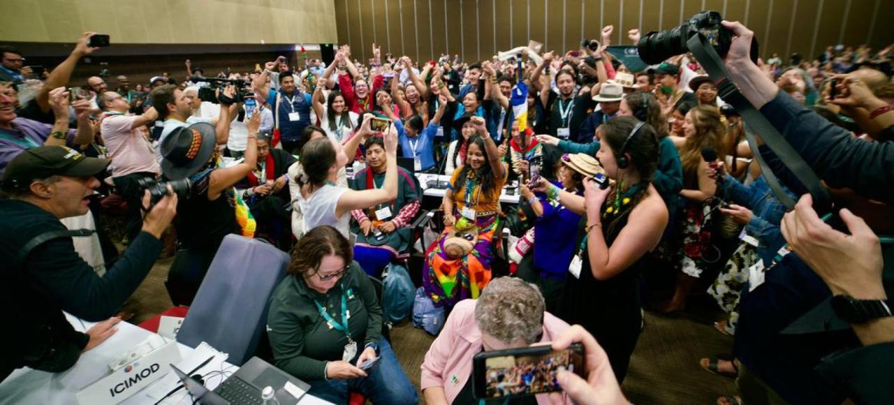 COP16 sought to be a "people's COP," recognizing that solving the biodiversity crisis requires the representation and active participation of everyone.