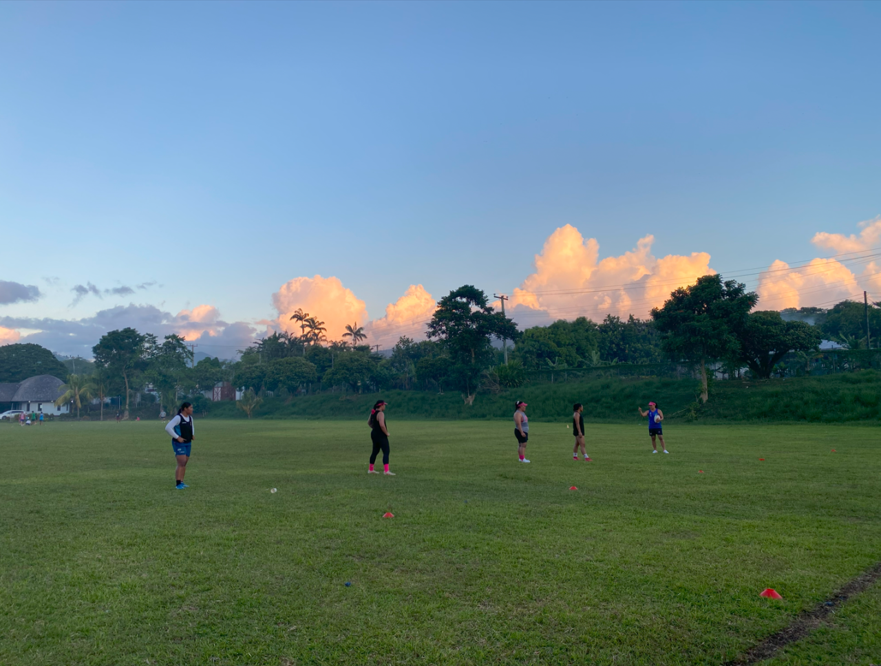 A group of people are gathered in a green grassy field playing sports.