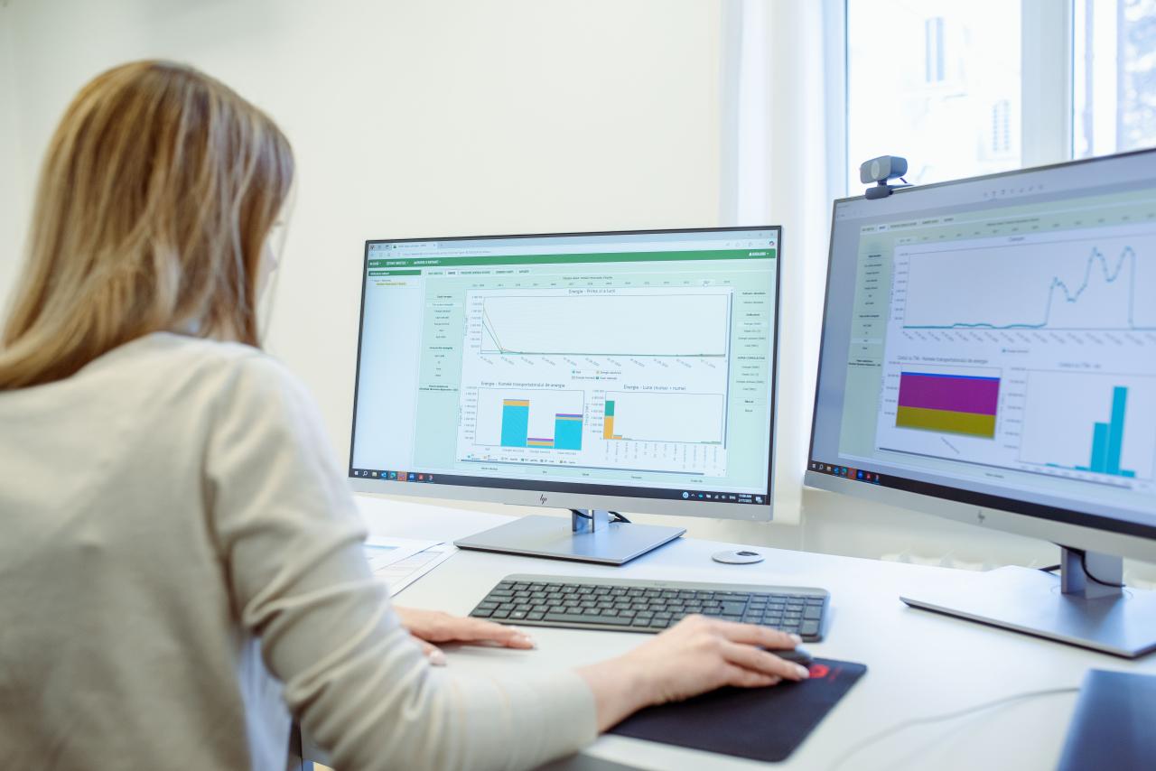 A woman looks at graphs on a computer related to energy consumption