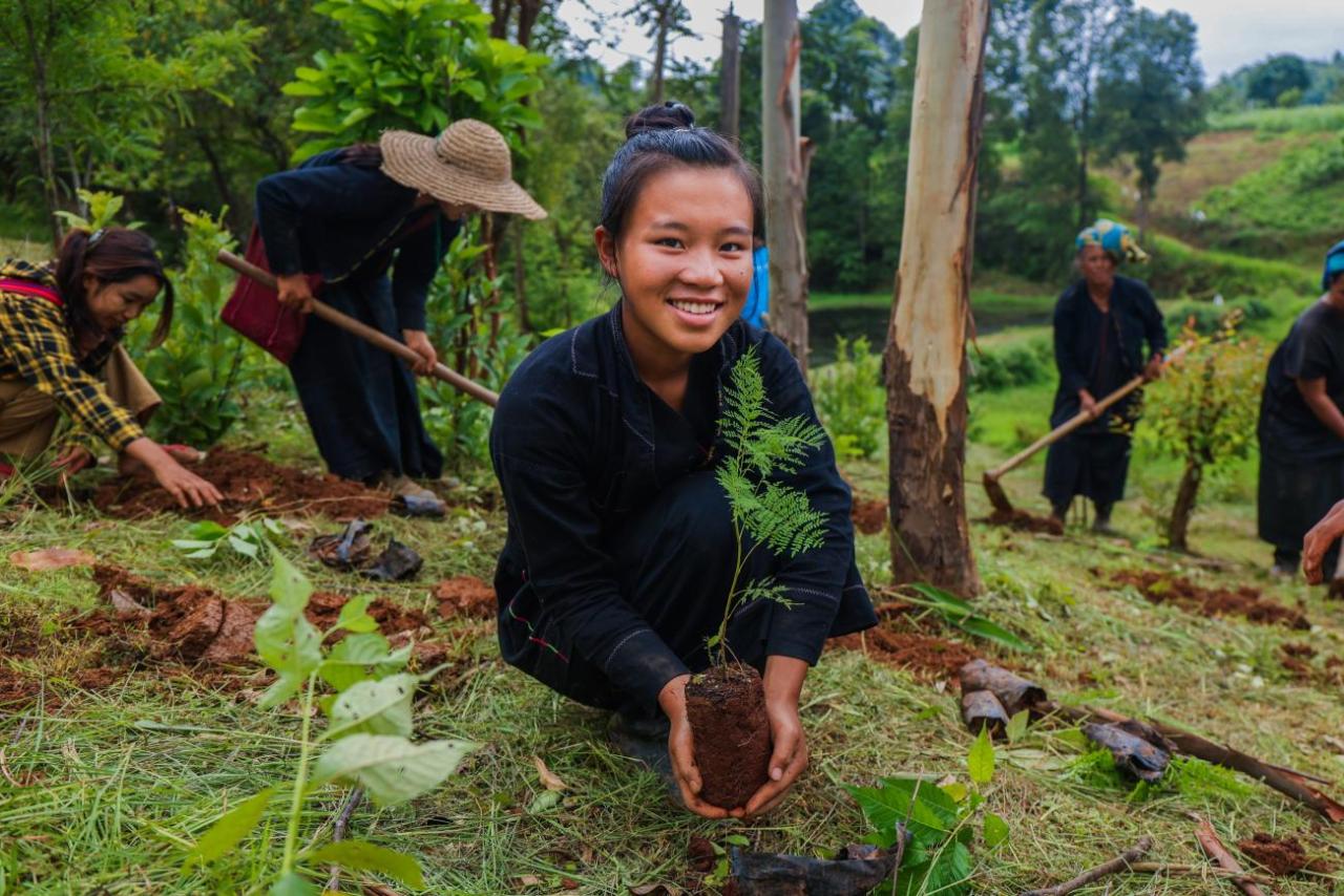 A young girl plants a sapling in a hilly region in Myanmar