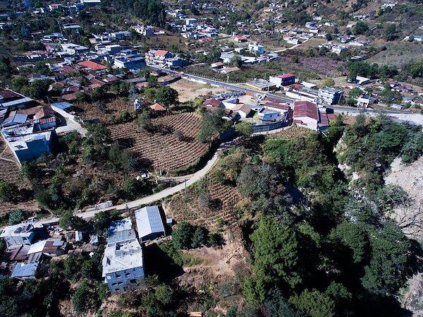 An aerial view of a city with greenery 