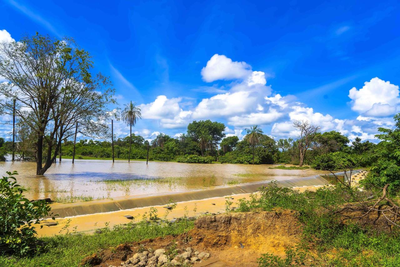 A riverbed in Mali.