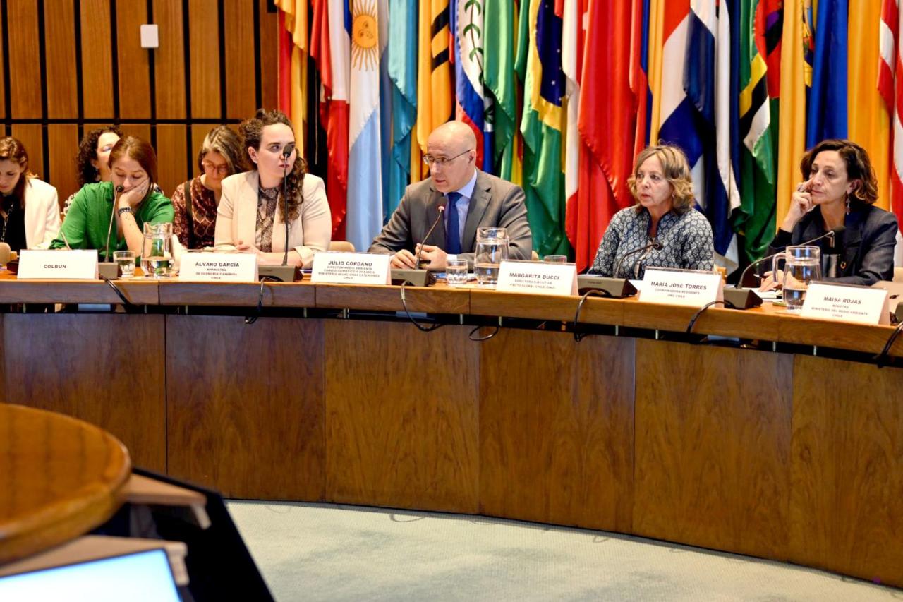 Several people at a UN meeting. 