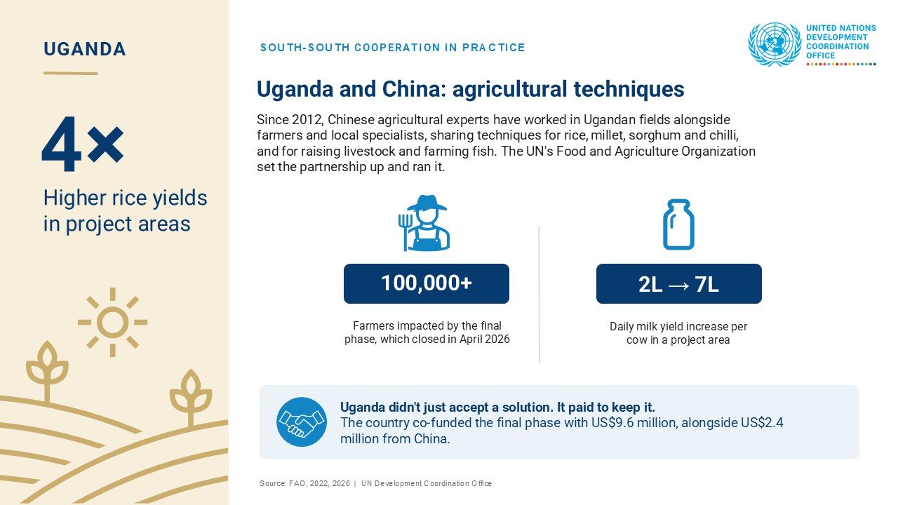 An infographic describing an agricultural partnership between Uganda and China.